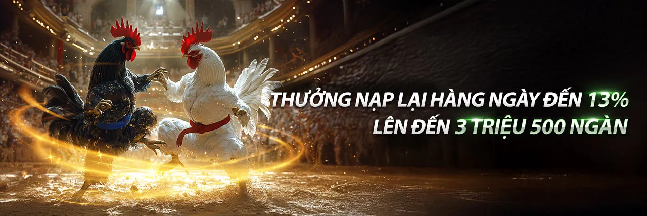 Đá gà Thomo 28/3/2023 Trực tiếp tại PG888